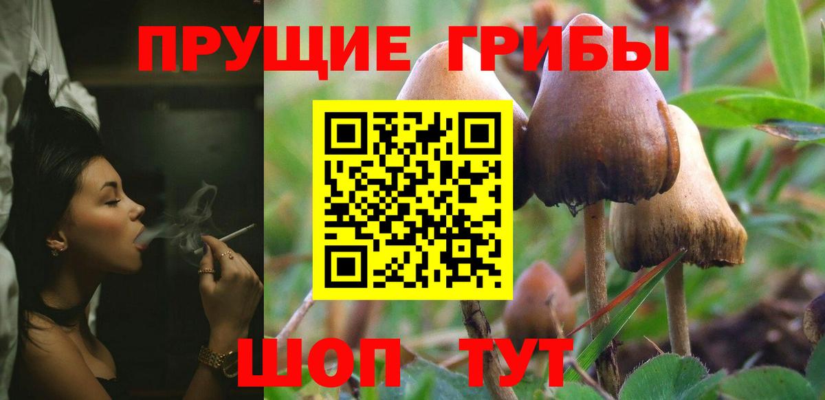 Сатка  Галлюциногенные грибы прущие грибы  Вход с VPN 